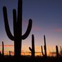 Tucson