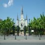New Orleans