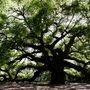Charleston, SC, United States