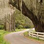 Charleston, SC, United States