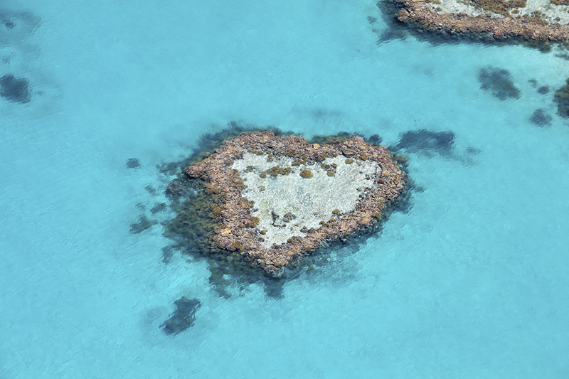 Heart-shaped reef in Great Barrier Reef, Australia 
