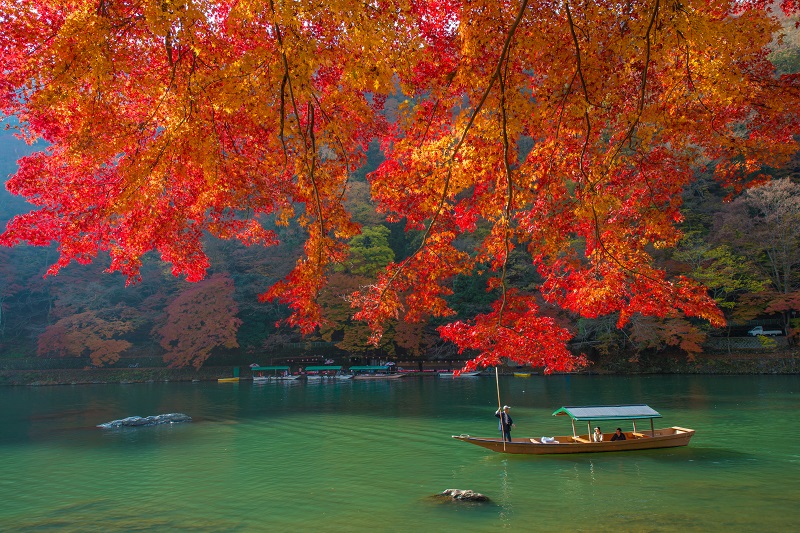 Autumn foliage in Japan