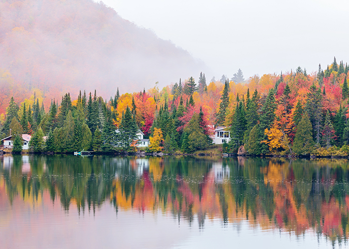 Fall foliage - Autumn leaves in Ste. Anne's Canyon, Quebec, Canada