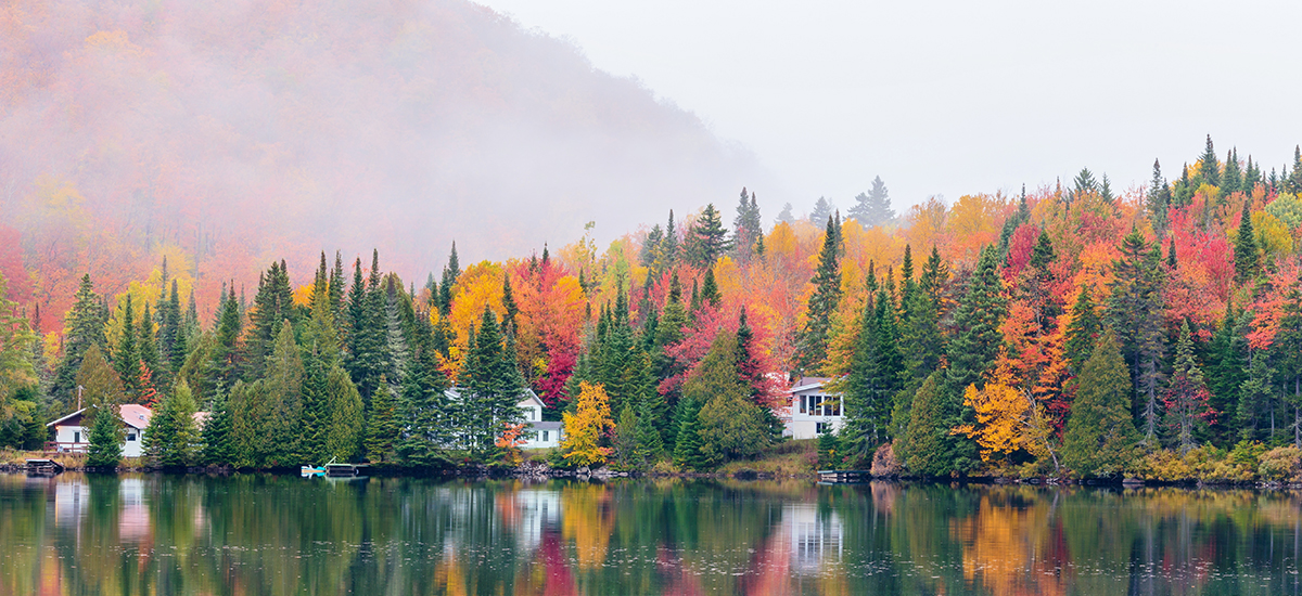 Fall Foliage Autumn Leaves