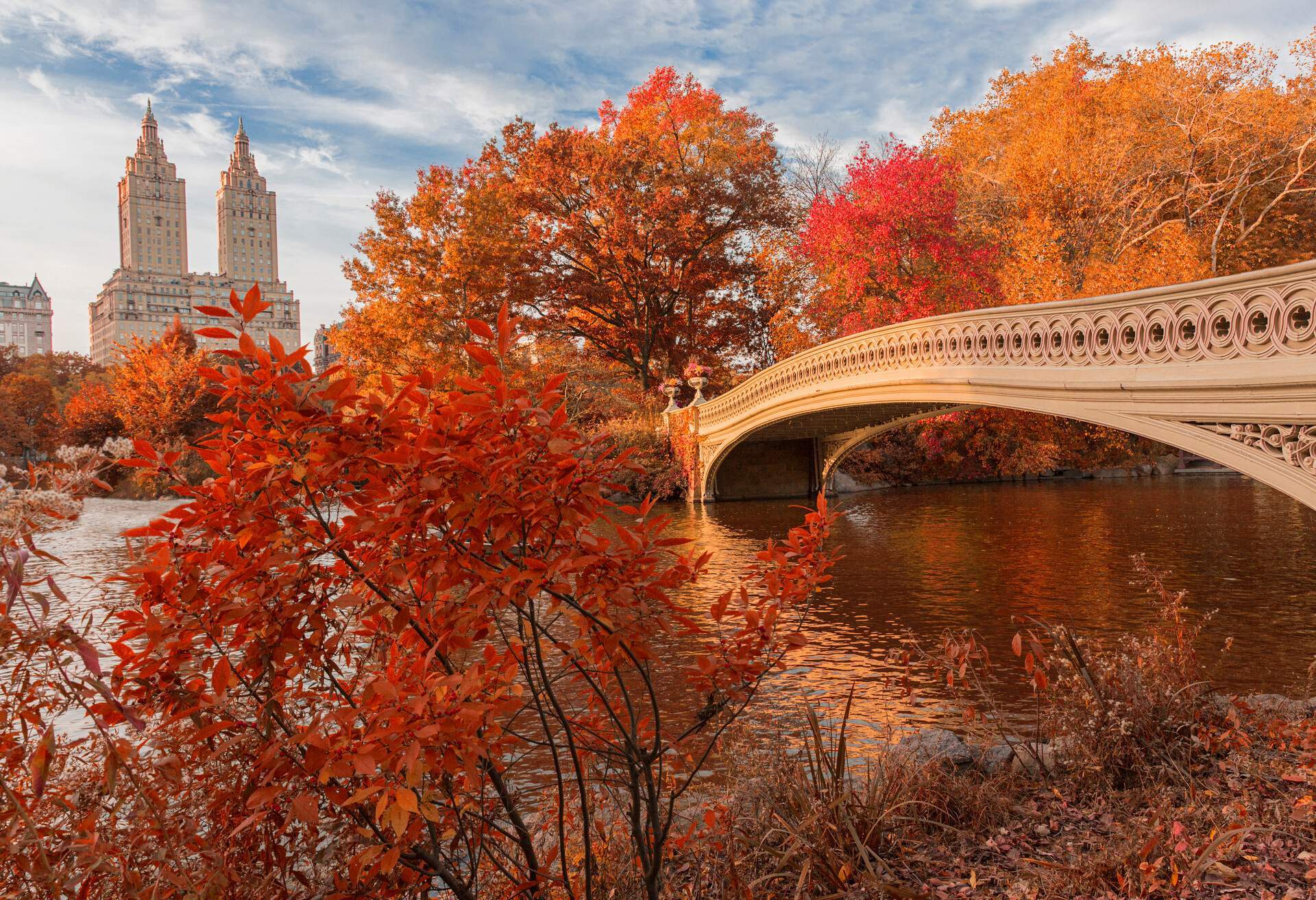 city-view-autumn 