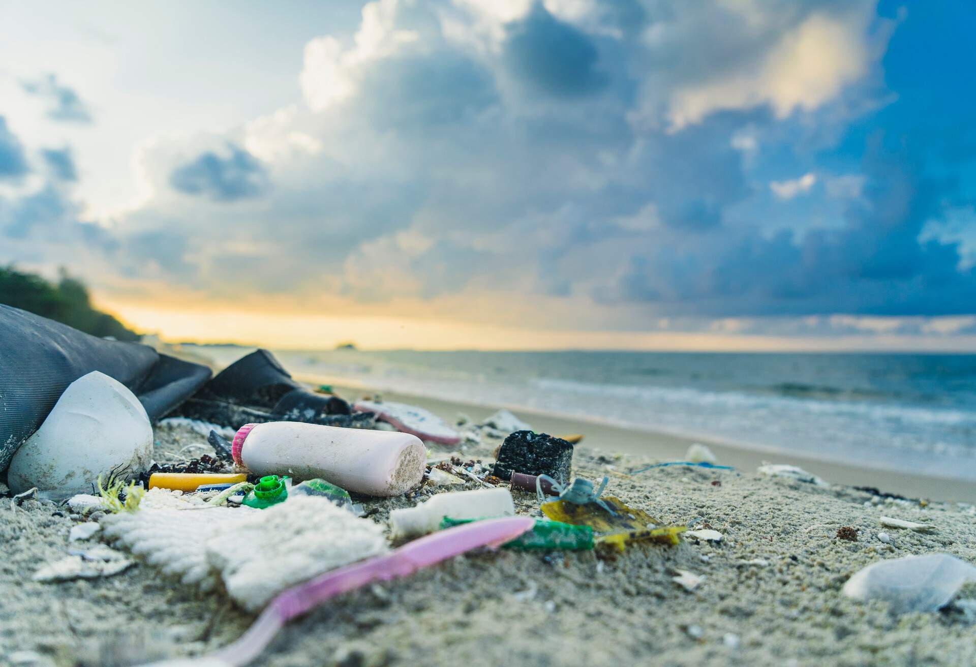 beach-rubbish