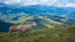 Megève car rentals