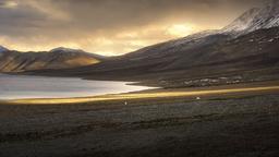 Find cheap flights from Dubai to Leh