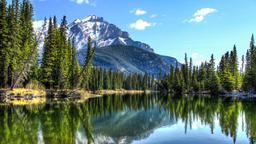 Find cheap flights to Alberta