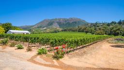 Hotels near Plettenberg Bay airport