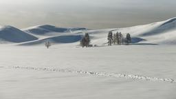 Hotels near Yellowstone airport