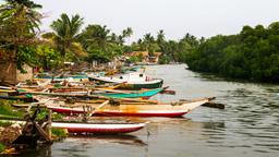 Find cheap flights to Sri Lanka