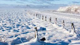 Hotels near Minot airport