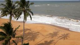 Find cheap flights to Colombo Bandaranaike Intl