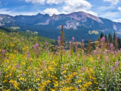 Crested Butte