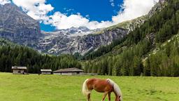 Carisolo Hotels