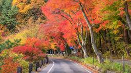 Fujiyoshida Hotels
