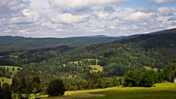 Bayerischer Wald hotels