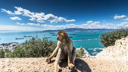 Gibraltar car rentals