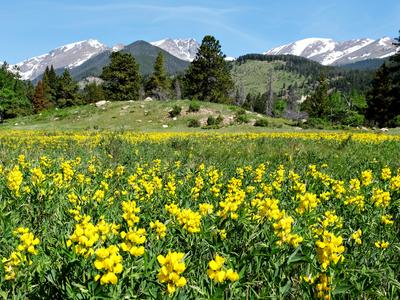 Estes Park