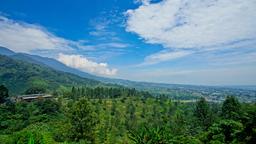 Puncak Hotels