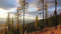 Whitefish Hotels