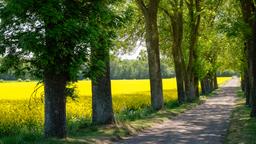 Vimmerby car rentals