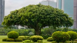 Hotels near Meilan Intl airport