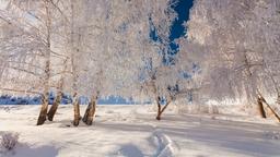 Find cheap flights from Mumbai to Finland