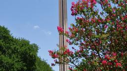 San Antonio hotels near Tower of the Americas