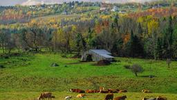 Sherbrooke car rentals