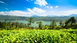 Find cheap flights from Jaipur to Sri Lanka