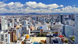 Find cheap flights from New Delhi to Nagoya