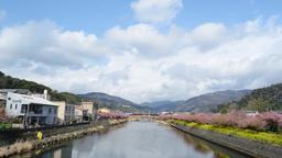 Kawazu Hotels
