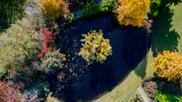 Dandenong car rentals