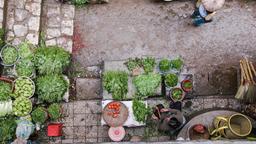 Find cheap flights from Mumbai to Vietnam