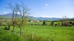 Luray Hotels