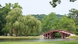 Worcester car rentals
