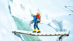 Fox Glacier Hotels