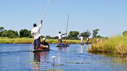 Maun car rentals