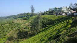 Vagamon Hotels