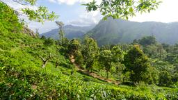 Find cheap flights from Kerala to Sri Lanka