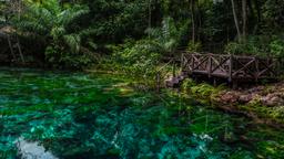Bonito car rentals