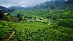 Cameroon hotels