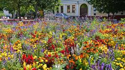 Debrecen car rentals