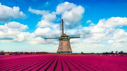 Netherlands hotels