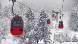 Find cheap flights from Mumbai to Switzerland