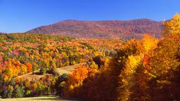 Auburn car rentals
