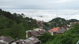 Kasauli Hotels
