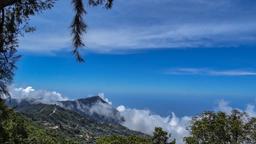Caracas car rentals